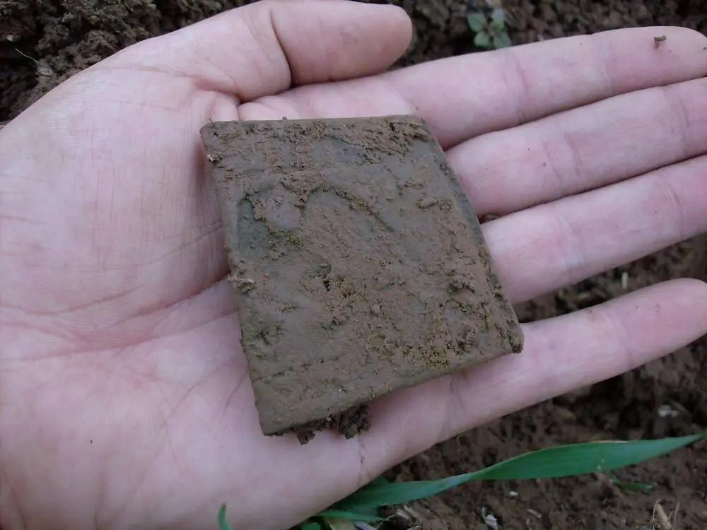1850's Militia Belt Plate - For the whole story on this incredible hunt, check out this link:

http://forum.treasurenet.com/index.php/topic,139354.0.h