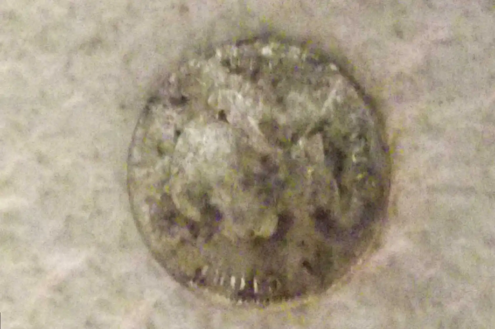 1870 qv