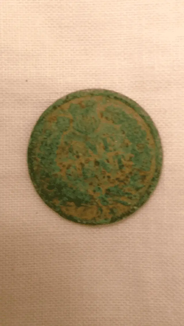 1881 Indian
