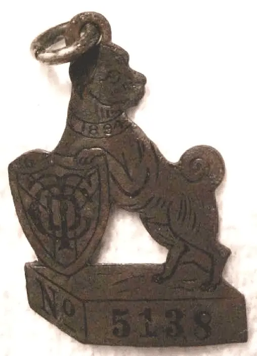 1894 Chicago Dog Tag that sold for over $500