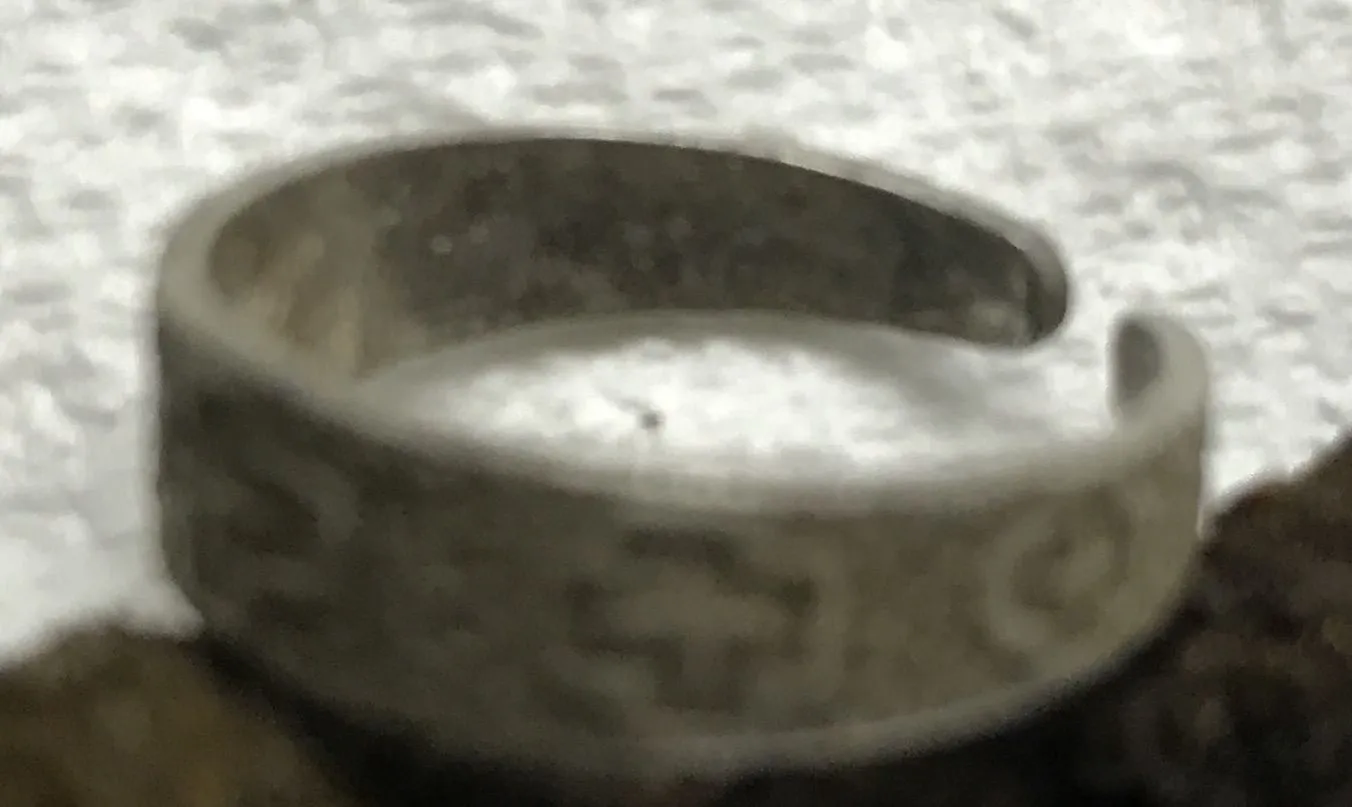 190322 ringa.pjg