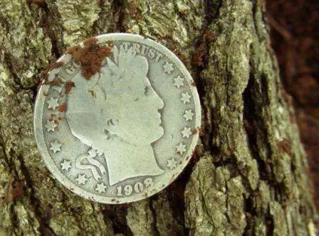 1908 Barber half