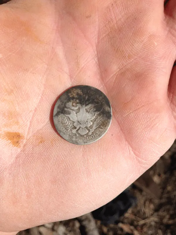 1908..bout 4" deep at a tree base.