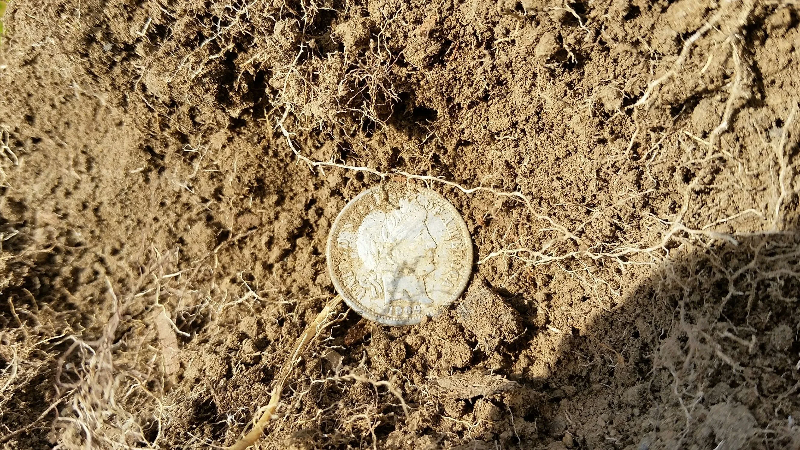 1909-s Barber Dime I found in the yard of a 1889 built house.