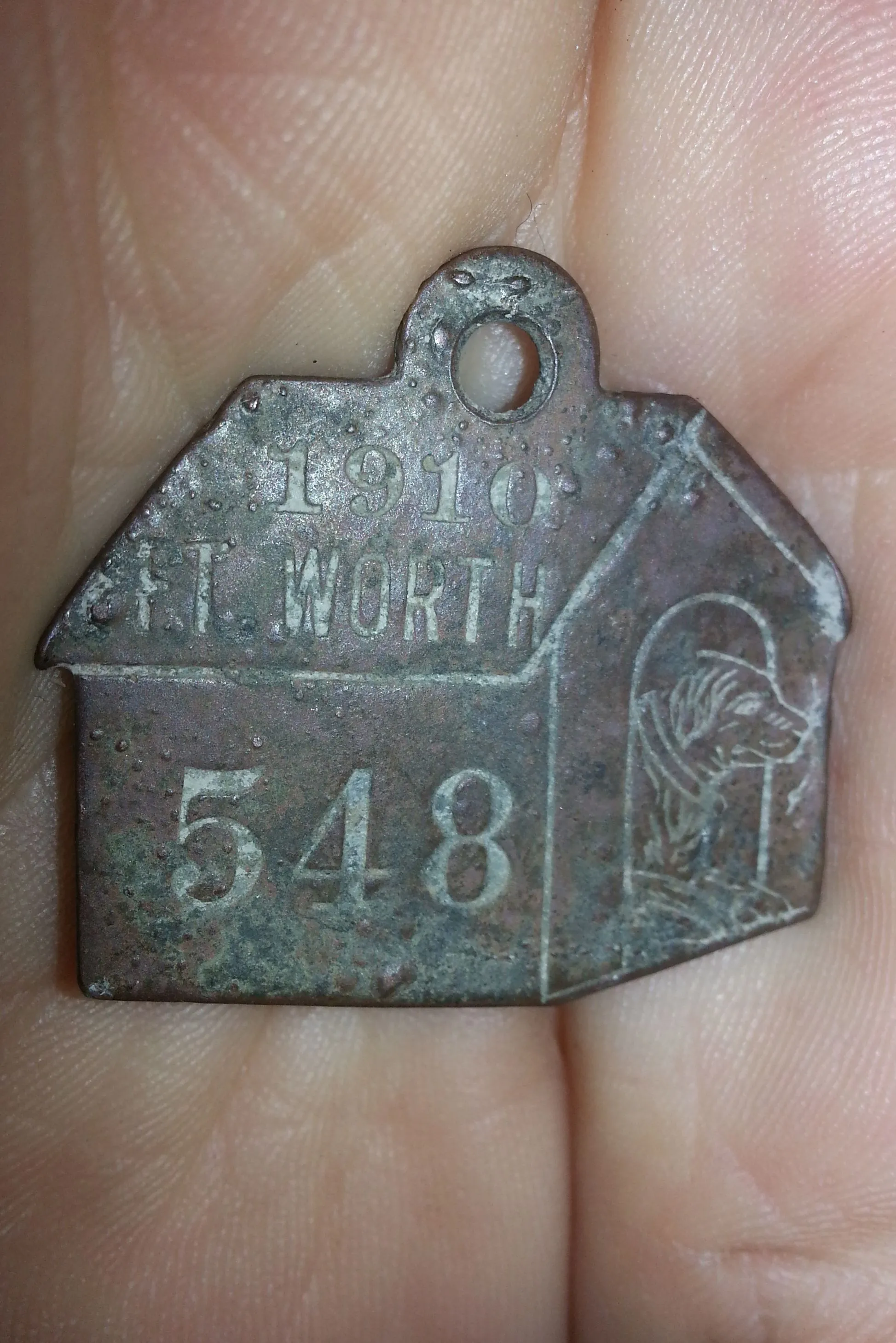 1910dog