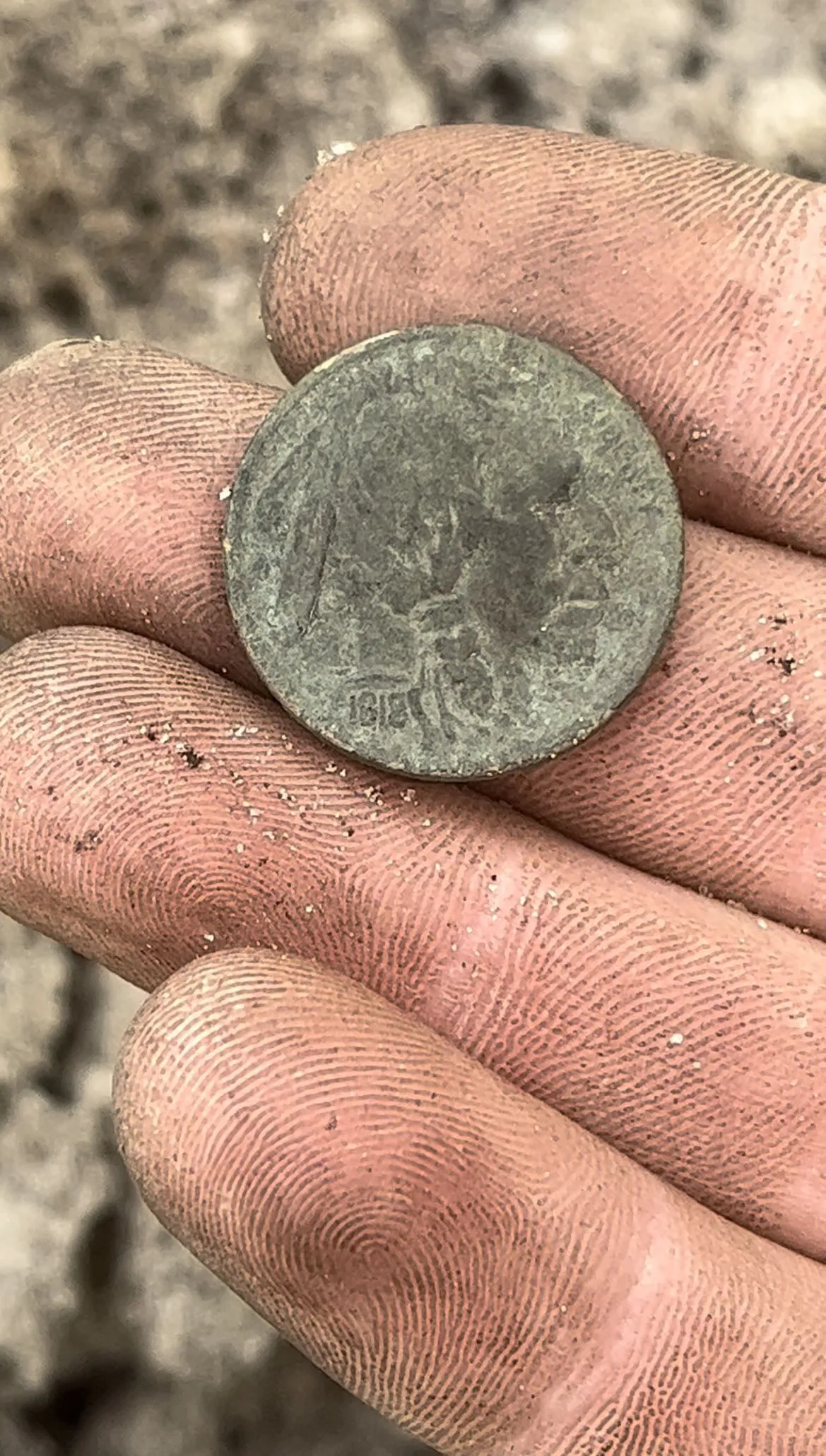 1918 Buffalo Nickel found in north Florida