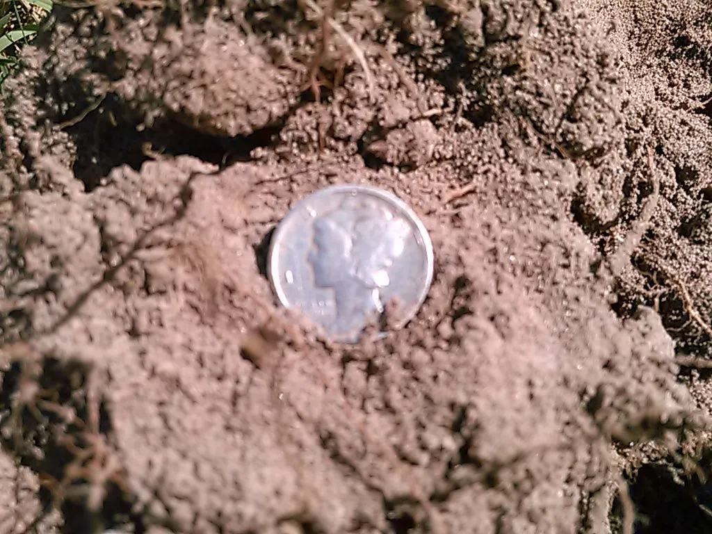 1920 Mercury Dime 1