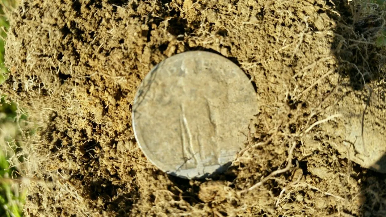 1920 Standing Liberty Quarter I found in the yard of a 1910 built house.
