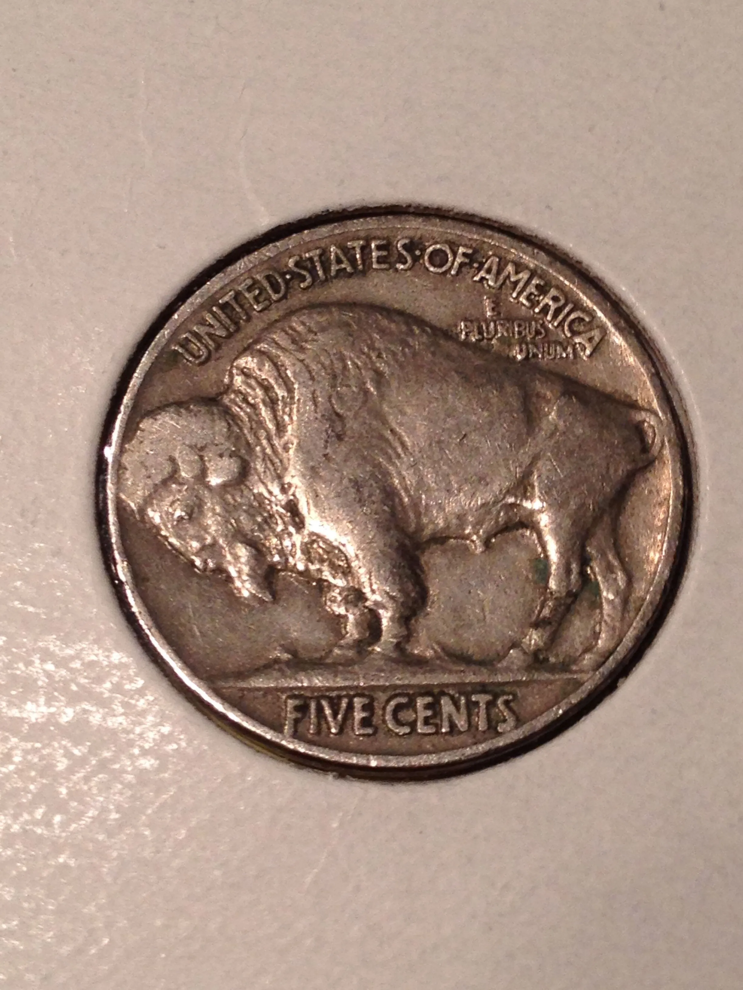 1936 Buffalo - Back