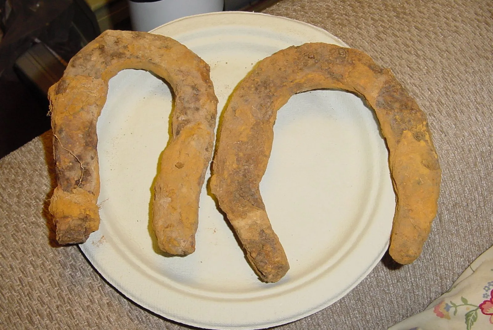 2 HORSE/MULE SHOES FROM A CW SITE