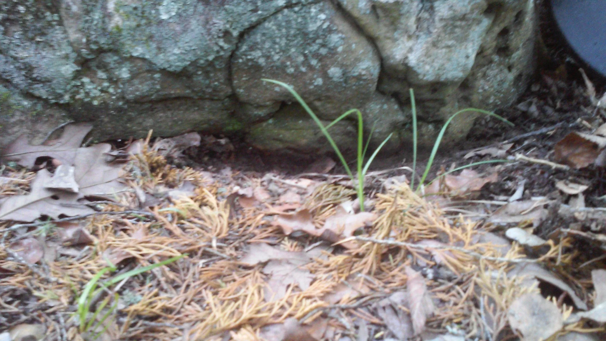 20150502 094455