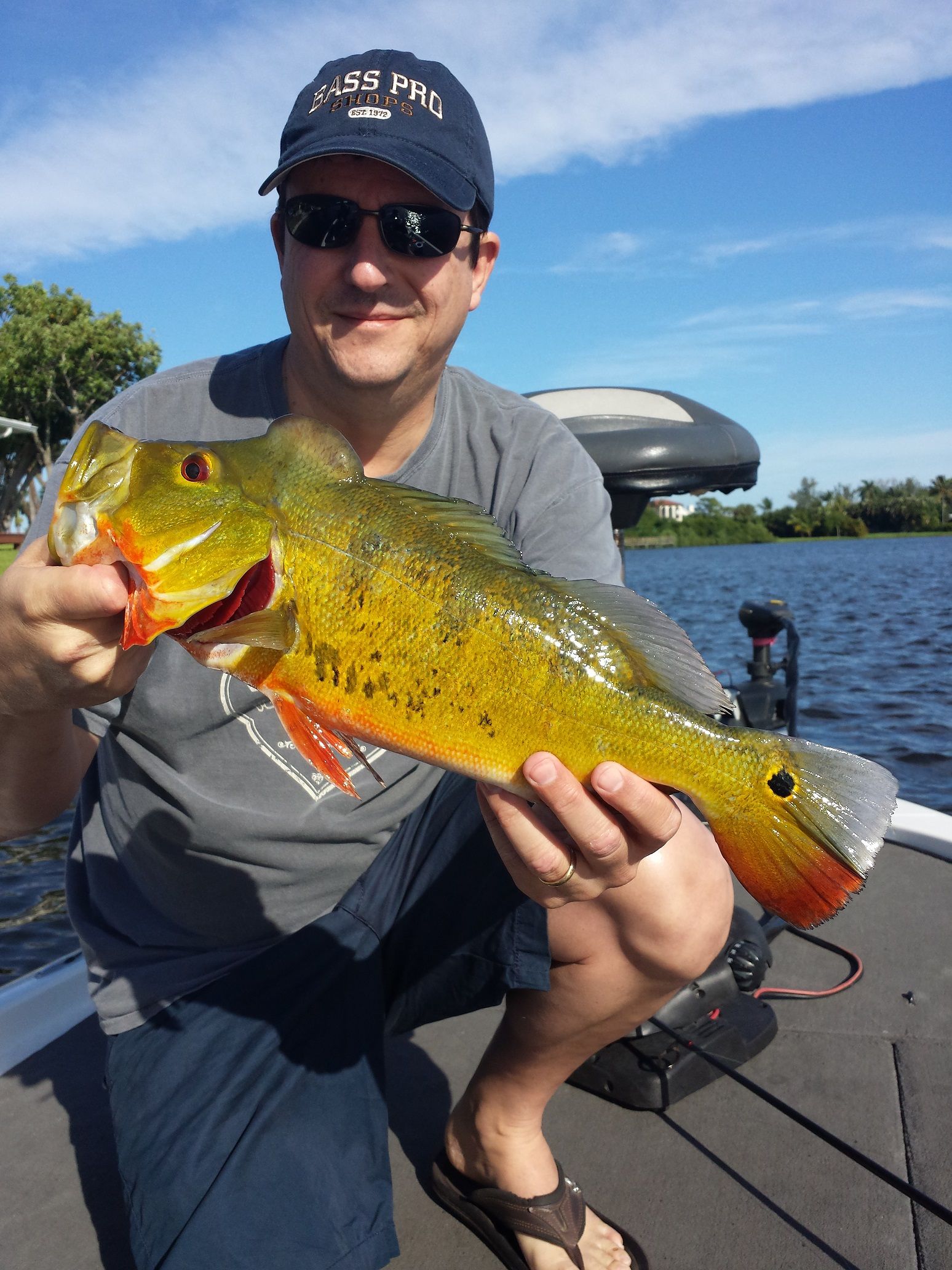 20150504 Me with a peacock bass caught in the canals around Miami on a fishing trip with my father.