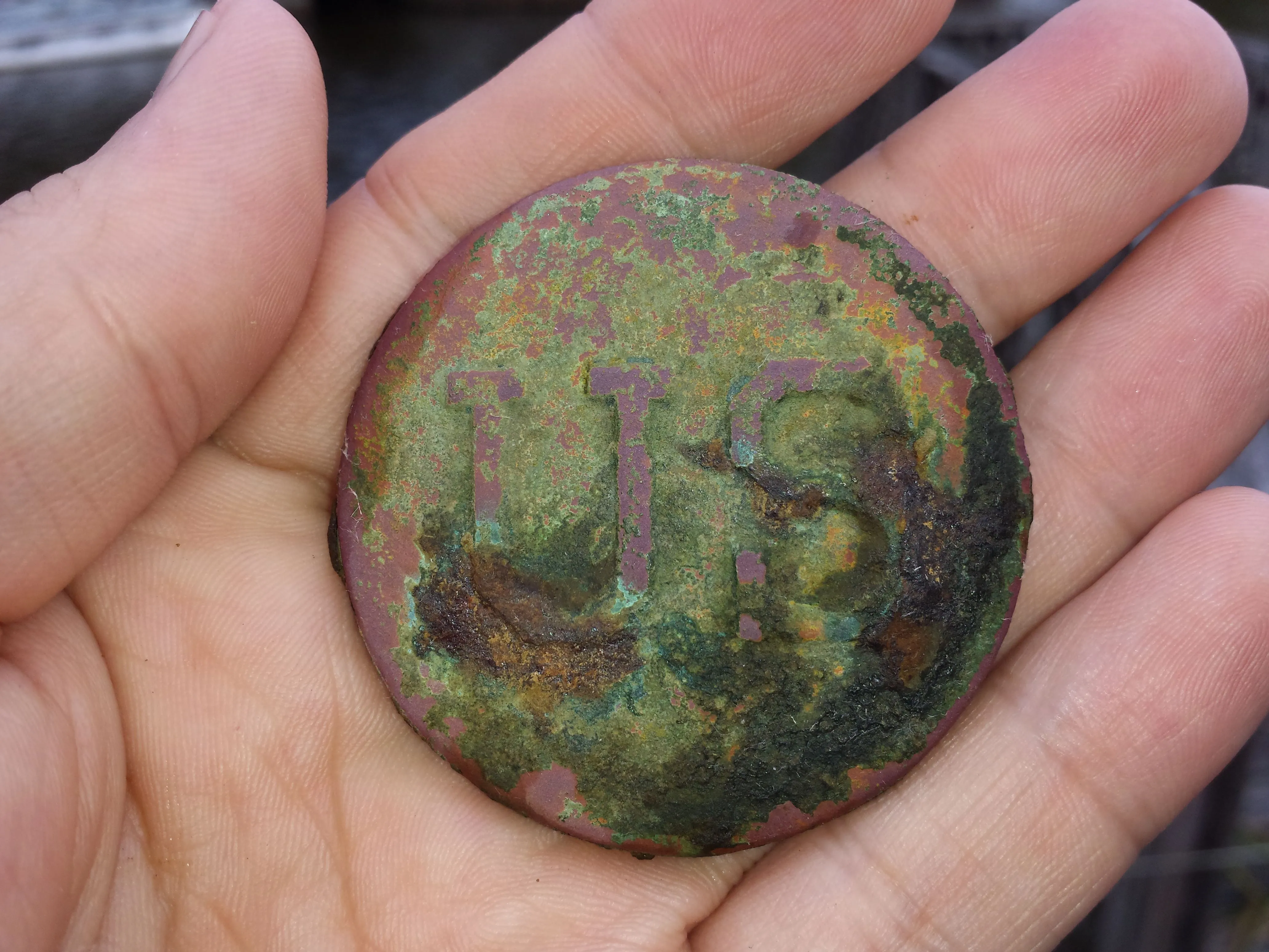 20150816 US Bridle Rosette found on private property in Madison with the F75.