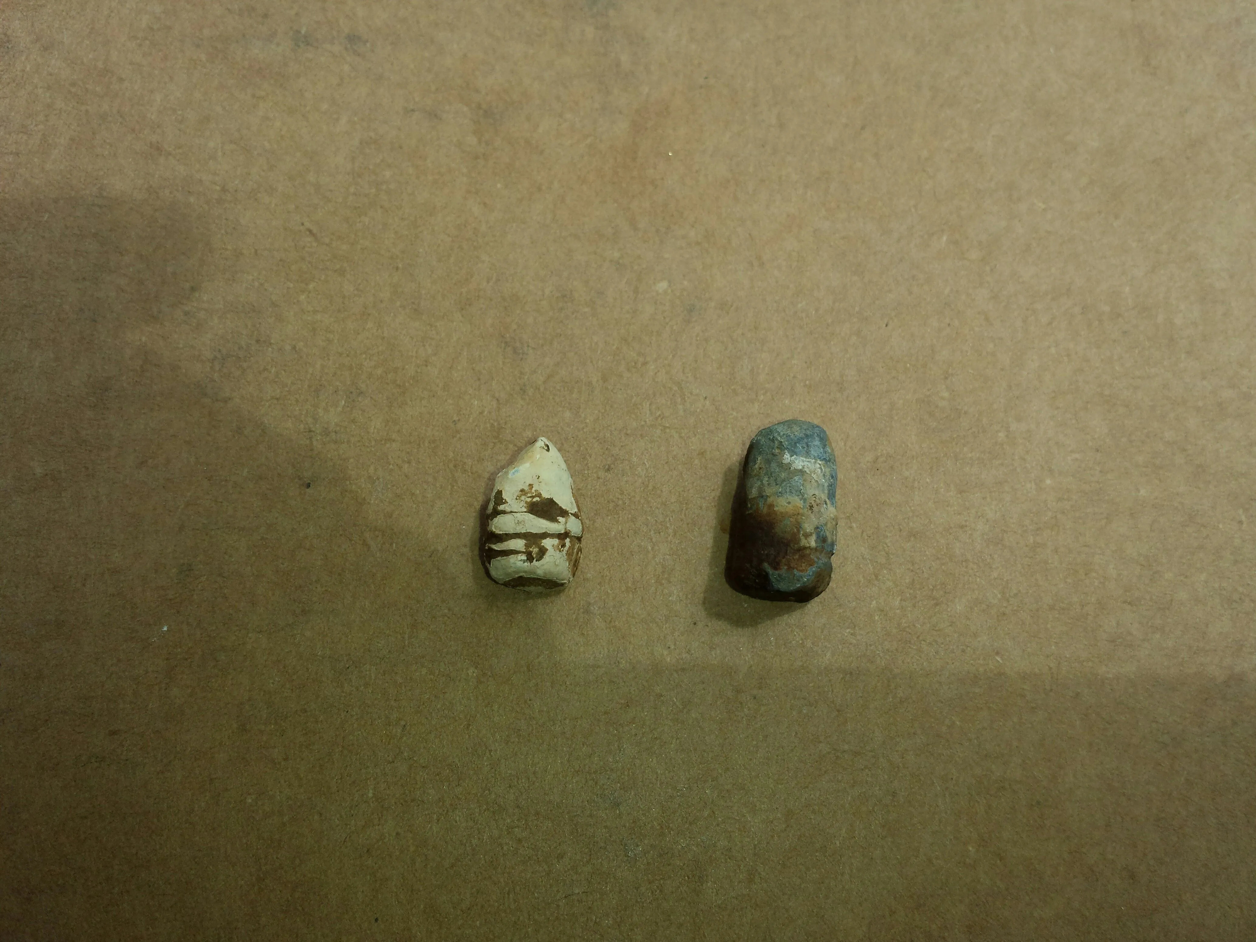 20150822 A closeup of a CW colt pistol bullet and a modern bullet. Both found where a Civil War Confederate hospital used to be with the F75.