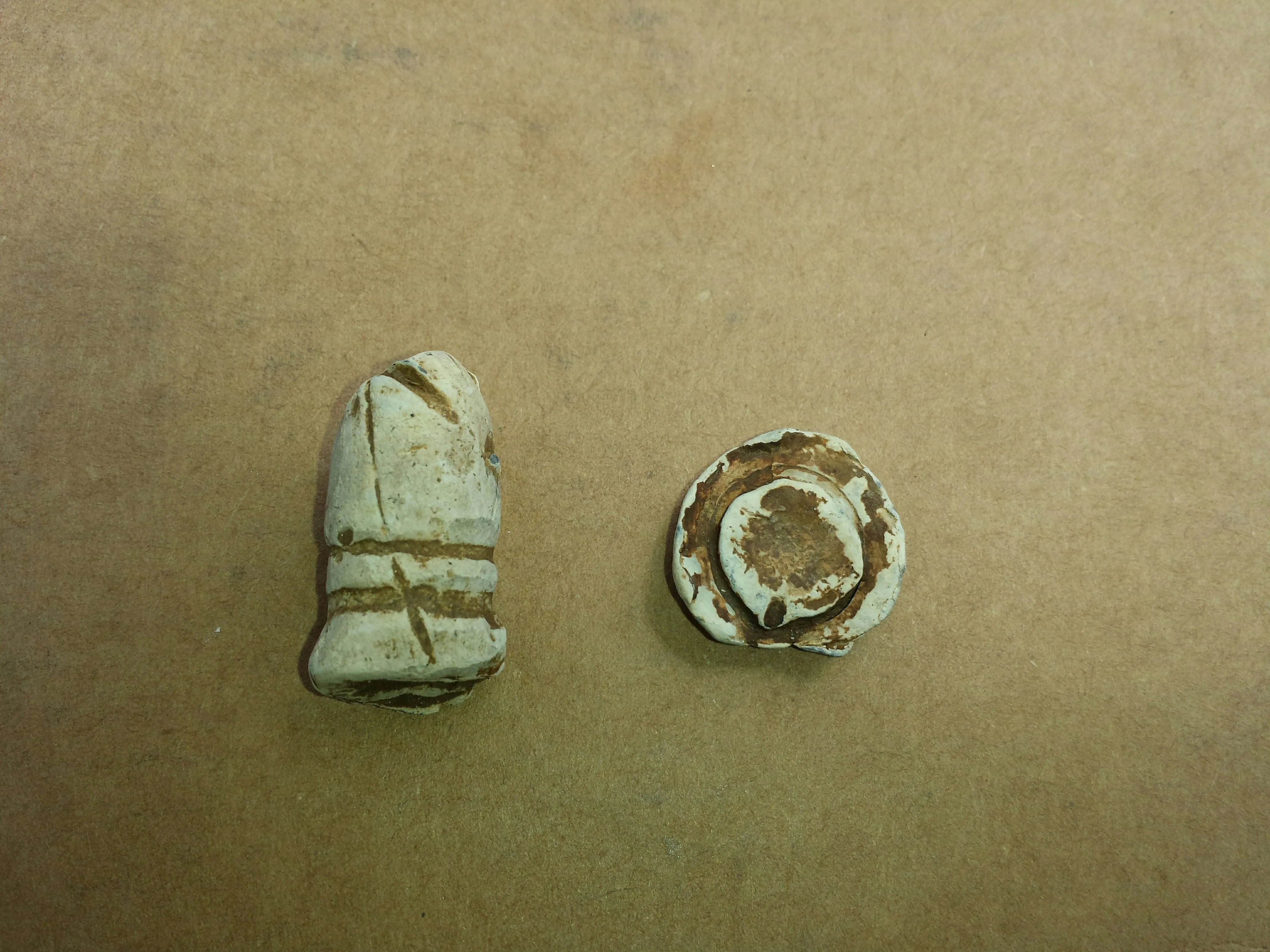 20150822 A closeup of my first 2 Ringer and a smashed minie ball. Both found where a Civil War Confederate hospital used to be with the F75.