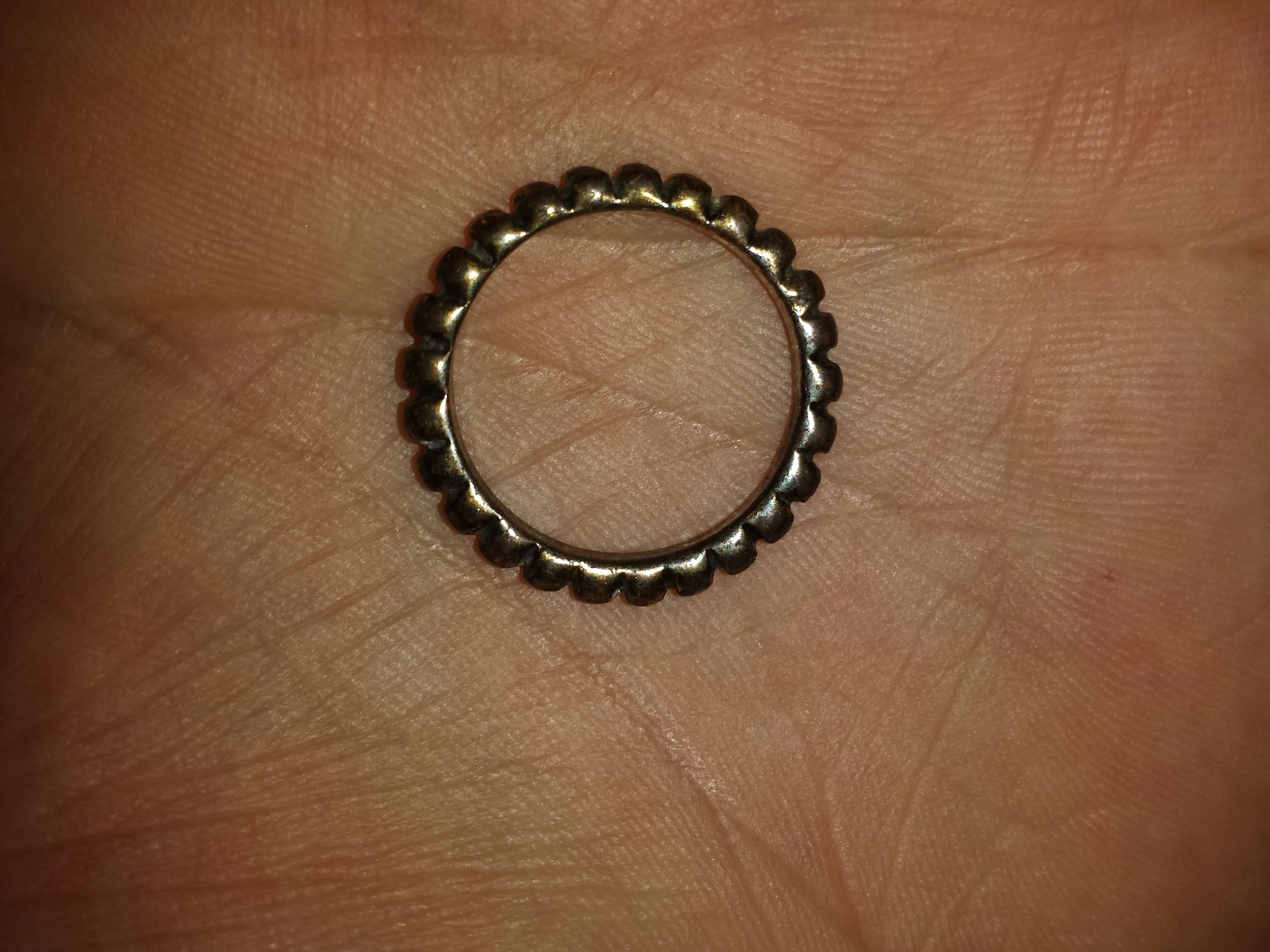 20150904 Likely junk ring found in the water in Long Beach with the CZ20.