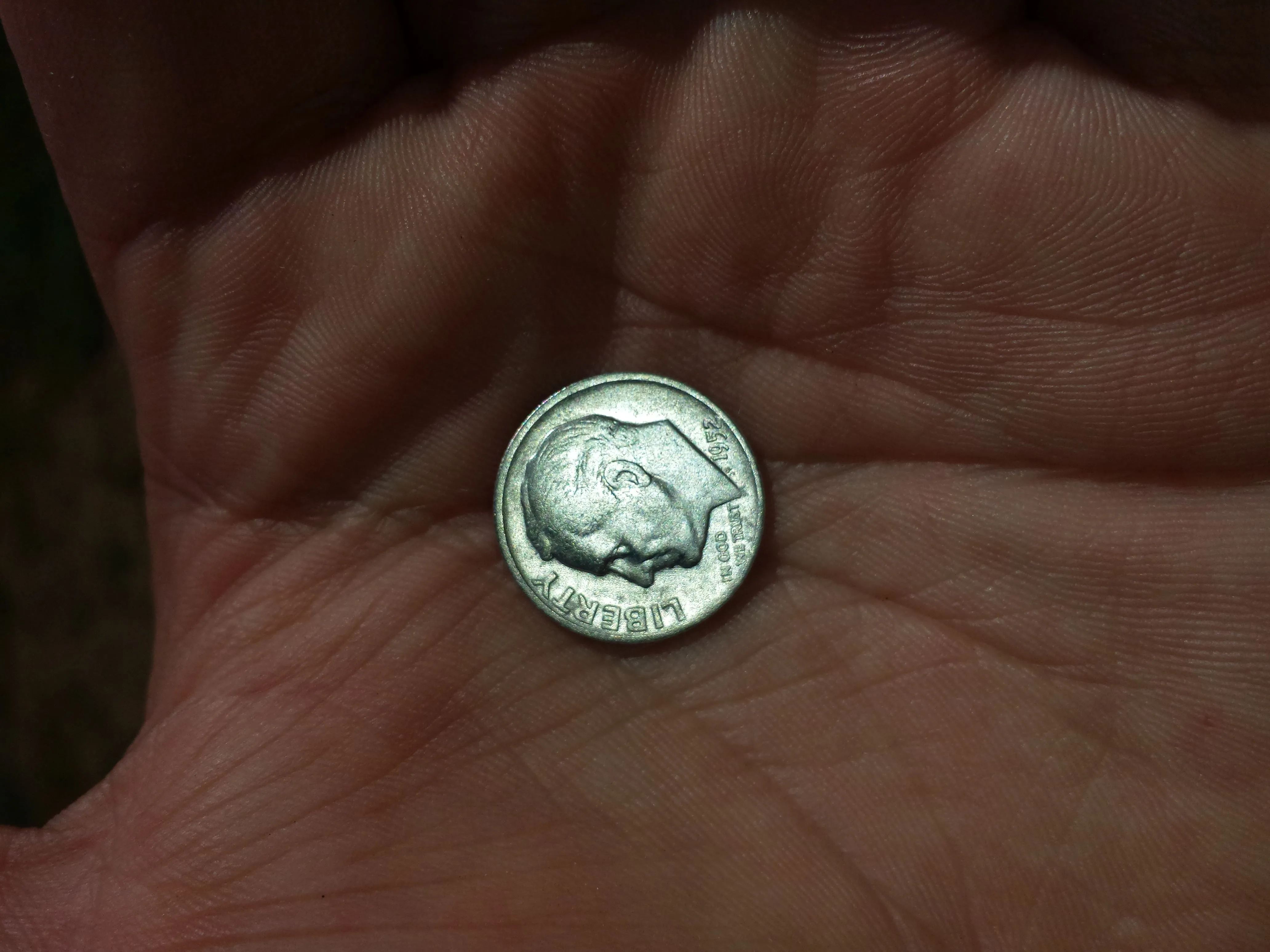 20150912 1952d silver Roosevelt found on private property in Madison with the F75.