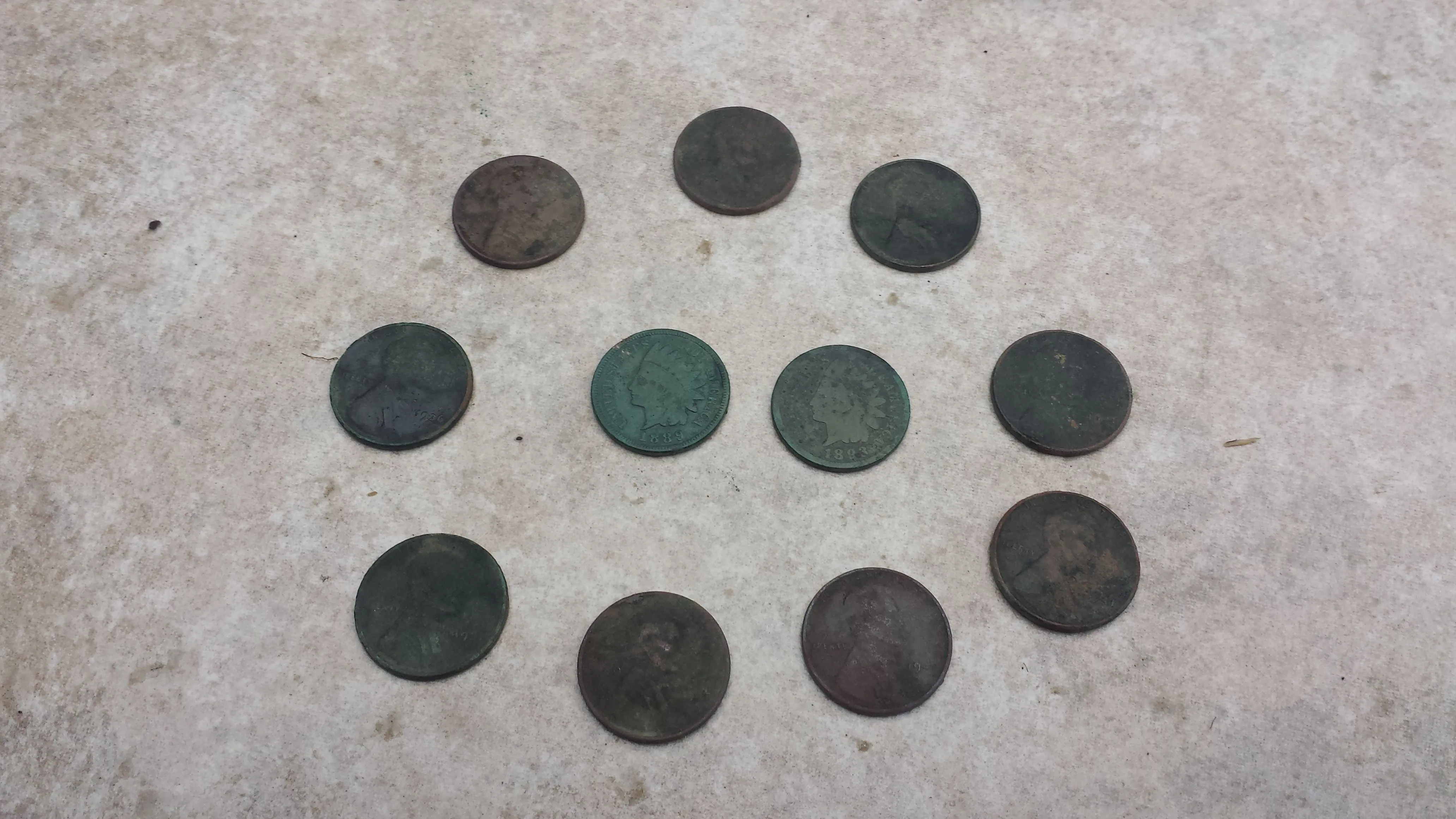 20150919 160942  Roy's house 2nd hunt Notables.  2 IHPs 1889 & 93.  9 wheats  1936, 37, 40, 41 x 2, 42, 44, 45, & 55D.