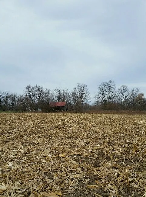 20151118 115546 1 resized