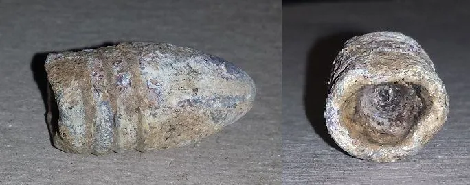 20151223 3Ringer found in Madison county with the F44.