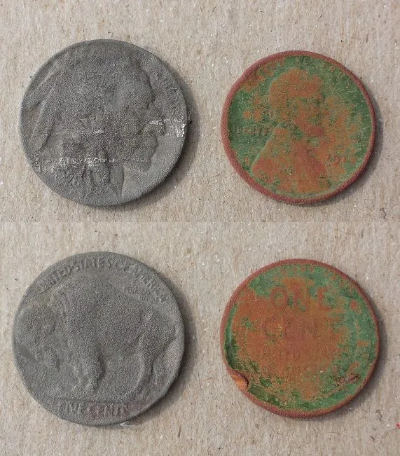 20160220 1928 Buffalo and 1918 Wheat found at a door knock in Brandon with the F75.