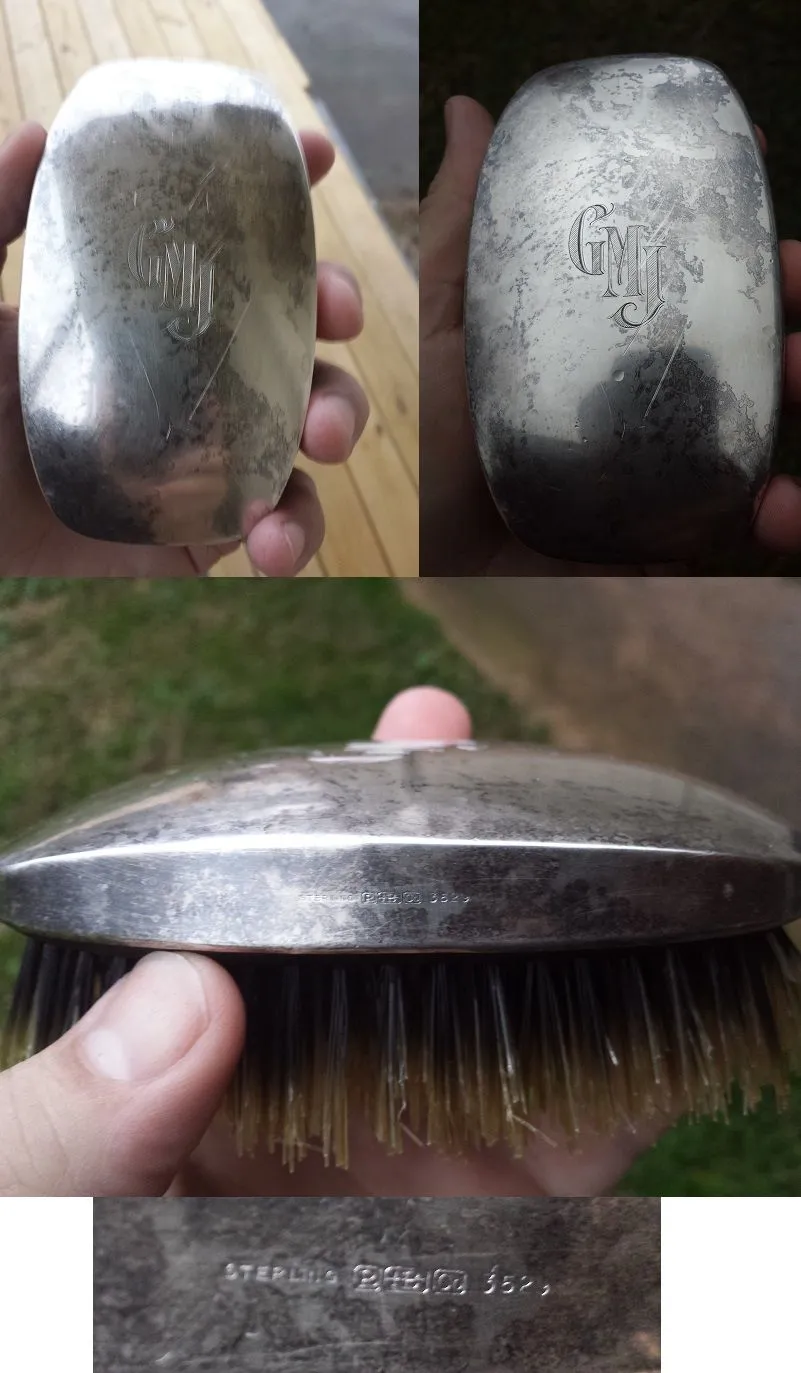 20160229 Silver horse brush found in Madison with the E-TRAC.