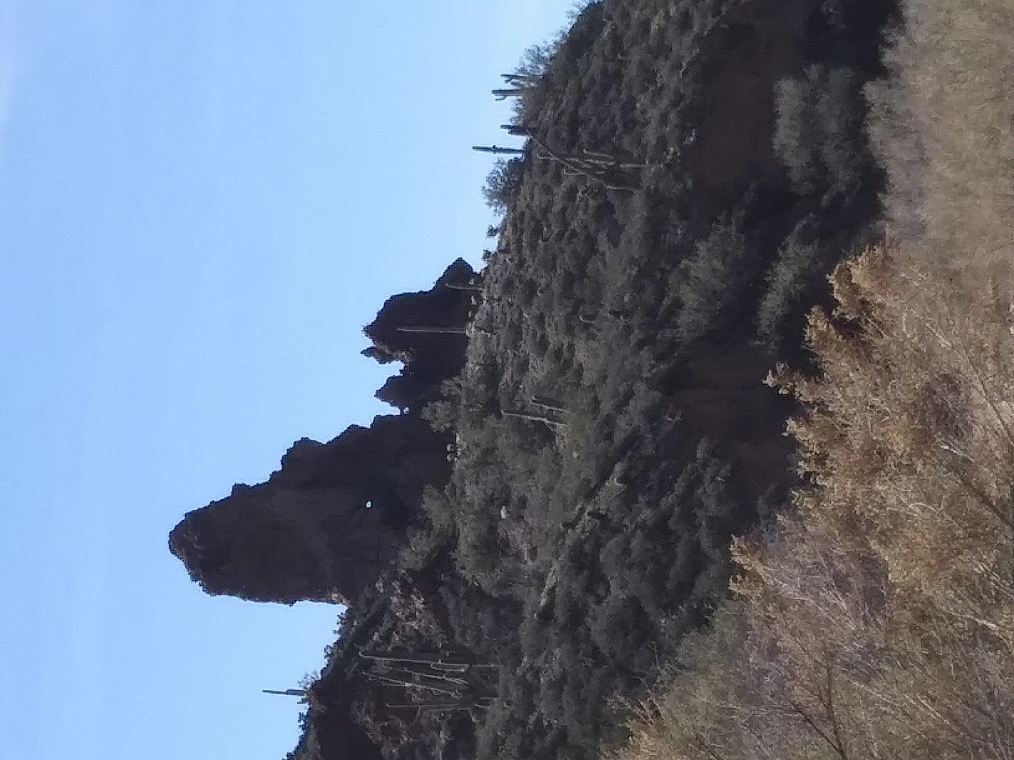 20190212 121959