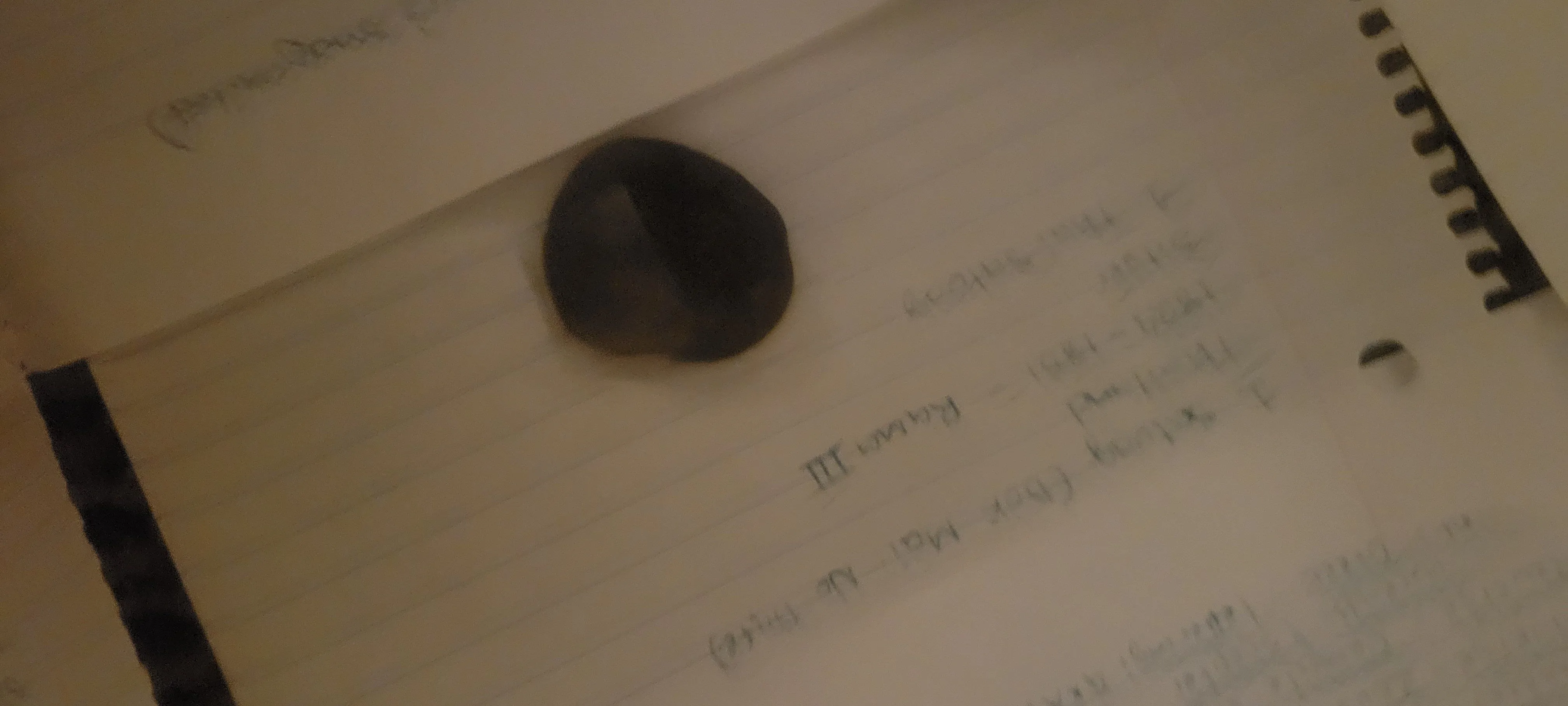 20241014_060641.jpg