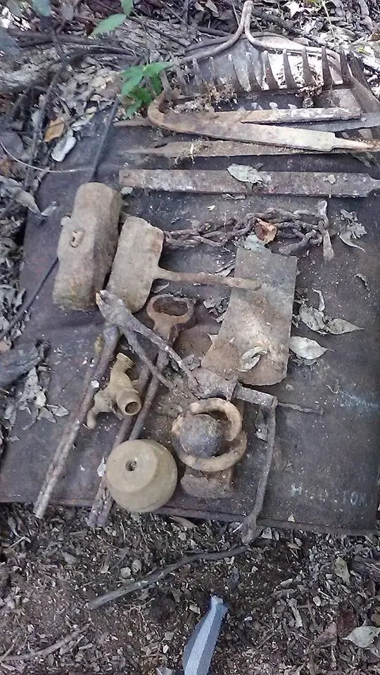 22728731 10215506115505691 1855034801771078784 n