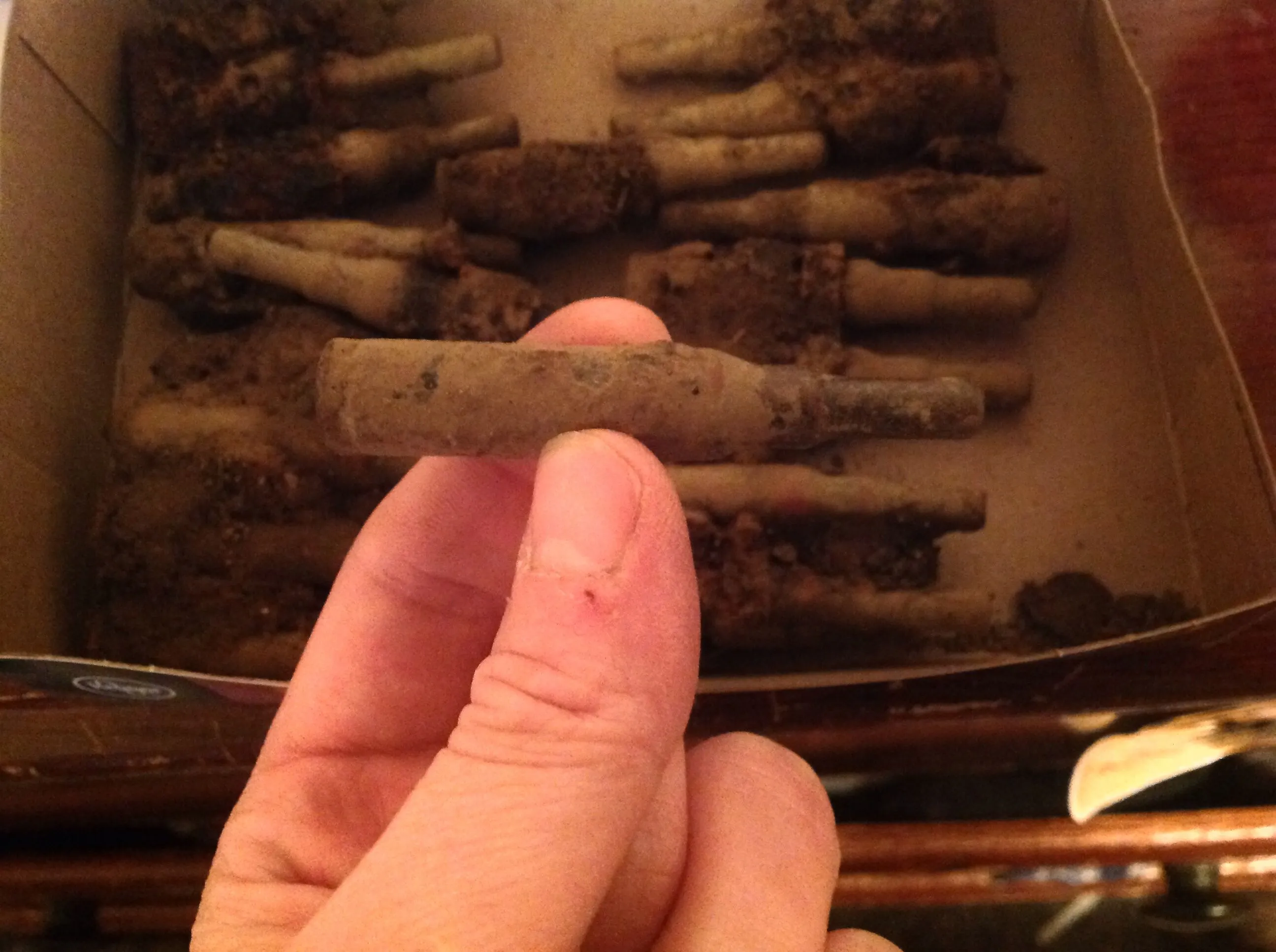 .308 blanks dug up at a park in Indiana