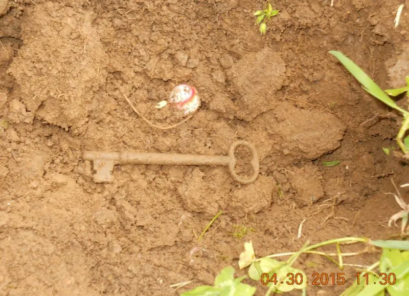4-30-15 My first skeleton key.