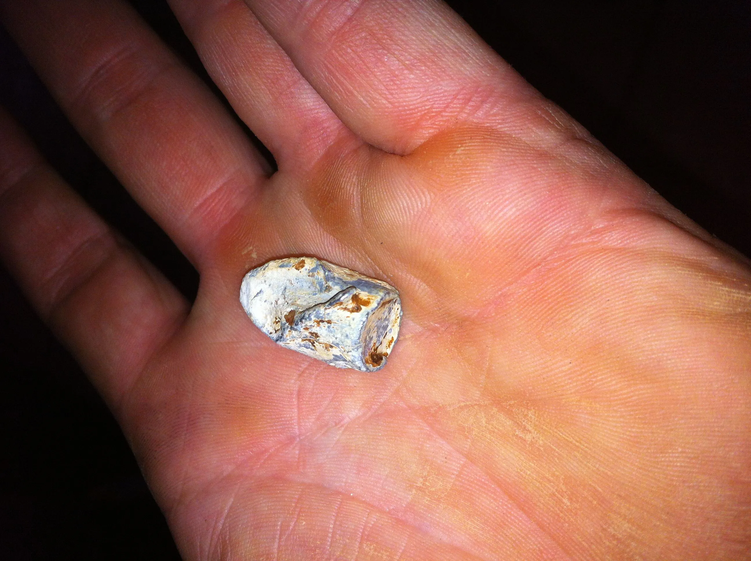 44 caliber bullet