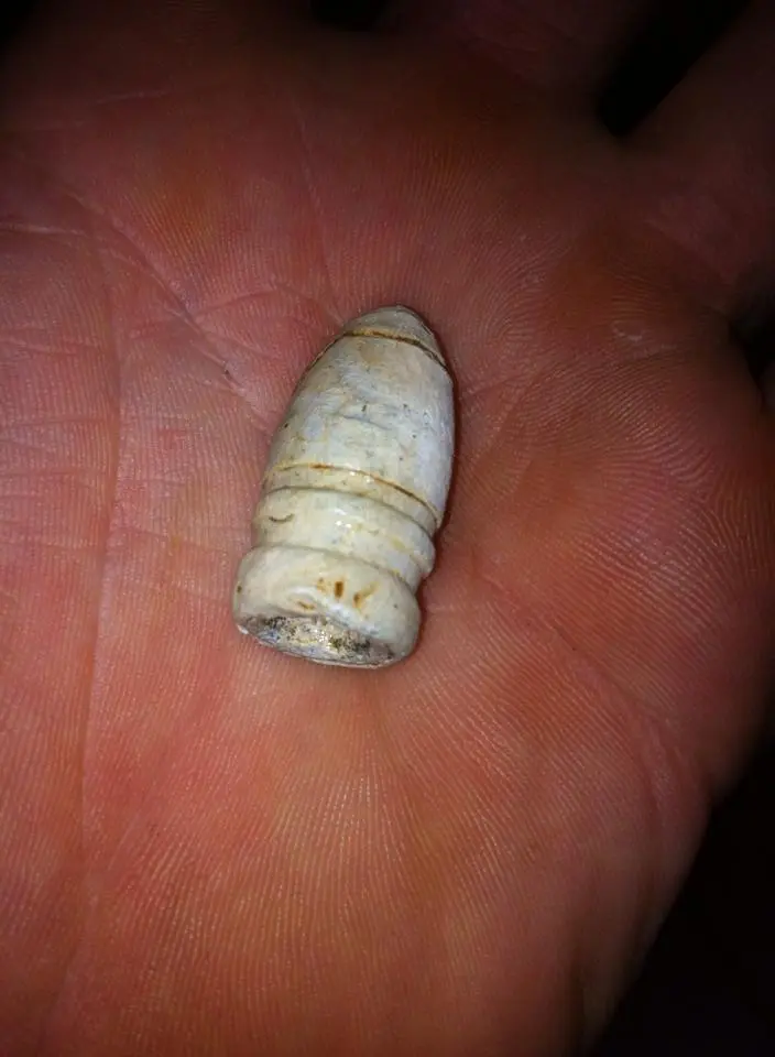 .533 Cal Gardner Bullet