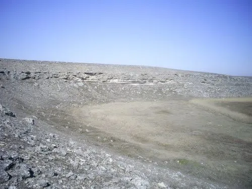 55097606