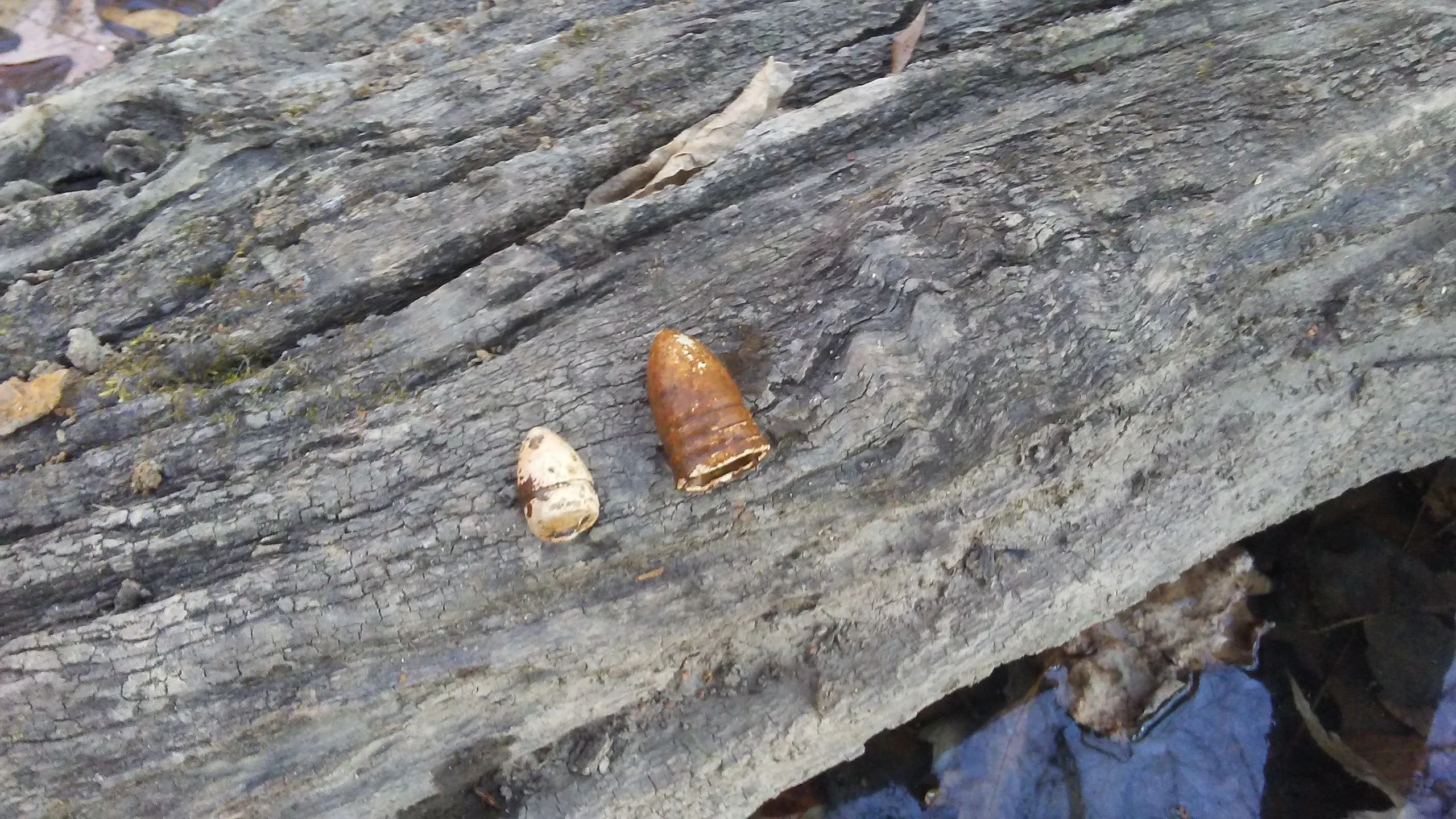 .58 & ? small cal..