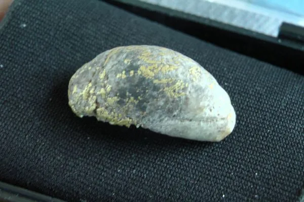 9.1 gram specimen