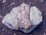 A bone or petrified piece of branch found in a clump of dried clay. Our research matches that this MAY indeed be a rib bone of a Mastadon. ? Early Pal
