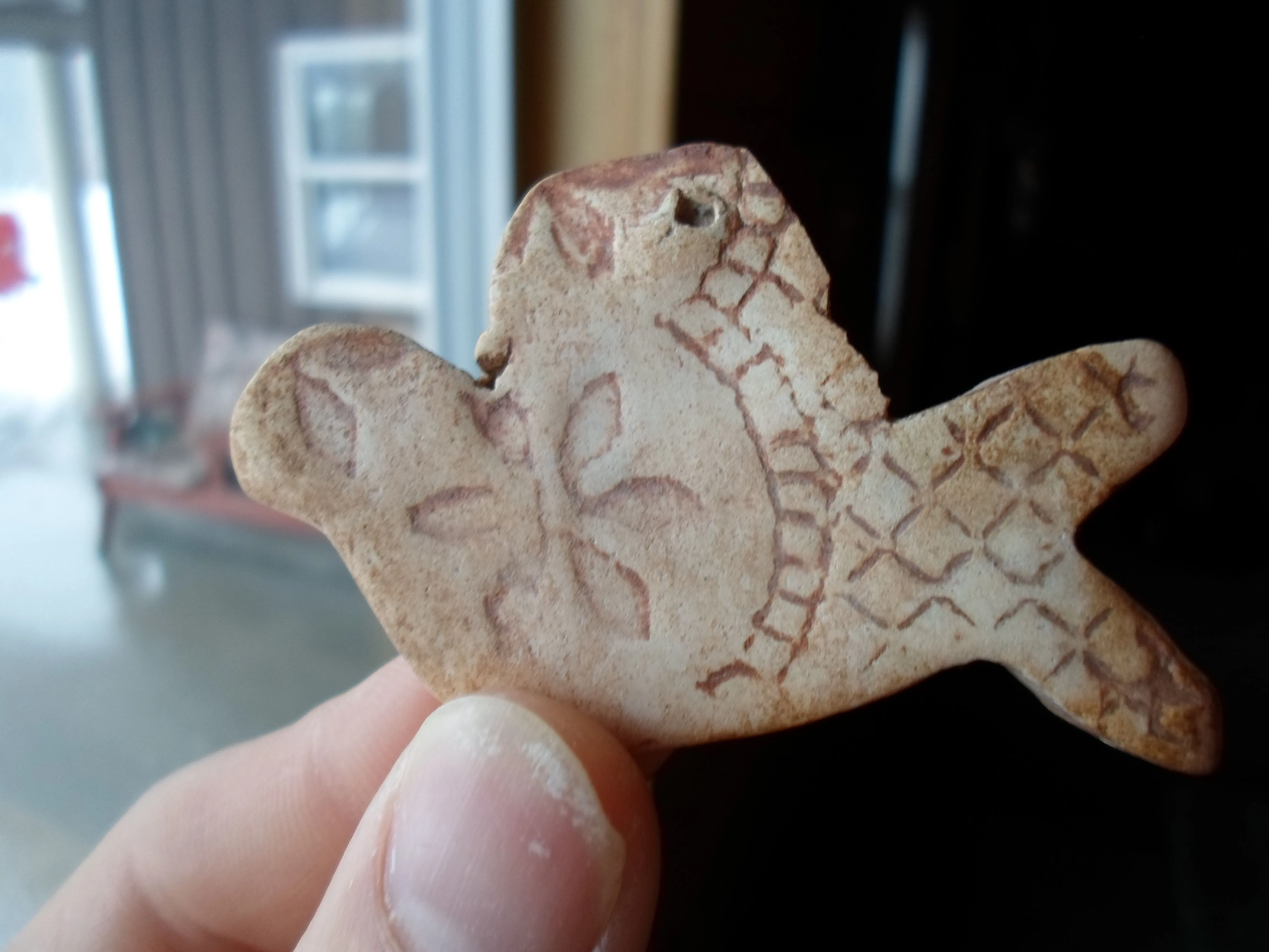 A dove I found in a wash, I know nothing about it