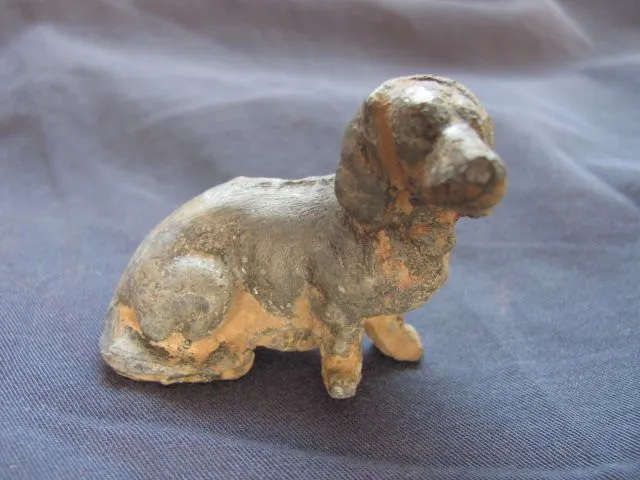 A lead duschhound puppy dog.