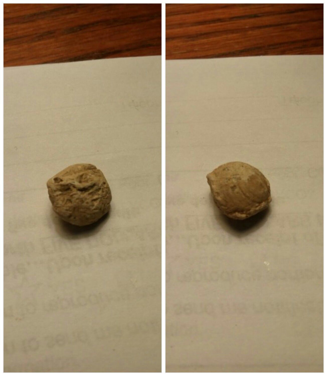A piece of a spent bullet looks as if it was round.  Not sure if its a historical find or a modern bullet.  Found in my backyard