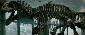 Acrocanthosaurus skeleton Banner 2 much smaller