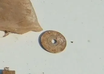 Alabama Tax Token - Bad Picture