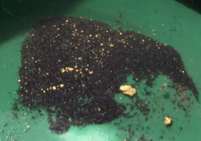 Alaskan Gold!!!! in every 5 lb. BAG!!!! - More great pics for you to see what I'm talking about my friends.