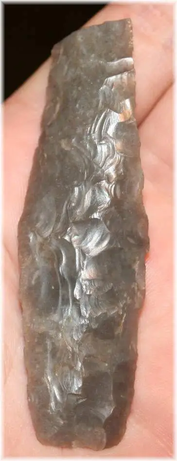 Angostura.