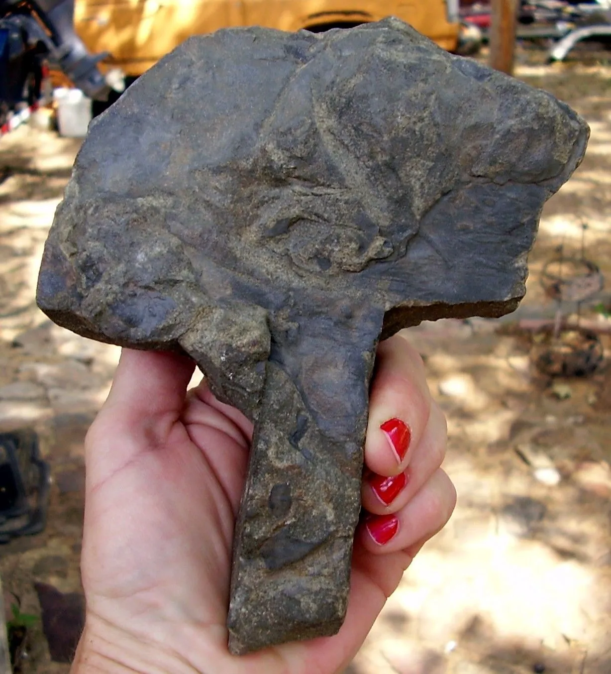 artifacts July 6 2013 174   Copy