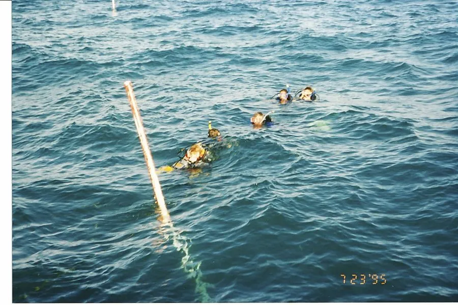 AtochaDive7: One of the dive groups, about 53' above the Atocha main pile.