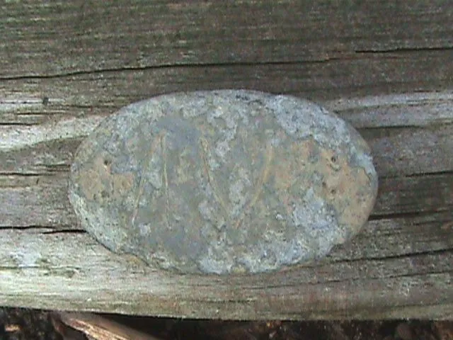 back of V.M.I. cartridge box plate