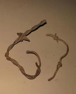 Barbed wire with flat barbs - The only barbed wire I've ever found that I thought worth keeping.  It's on the left.  Found by an old stone wall near L