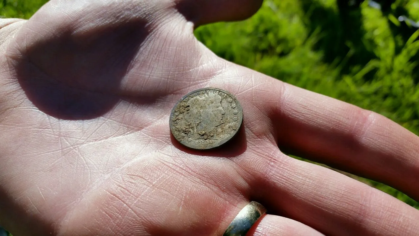 Barber Quarter found by my friend at a 1905 built house.