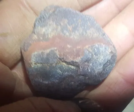 Bat